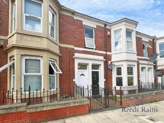 3 bedroom apartment to rent