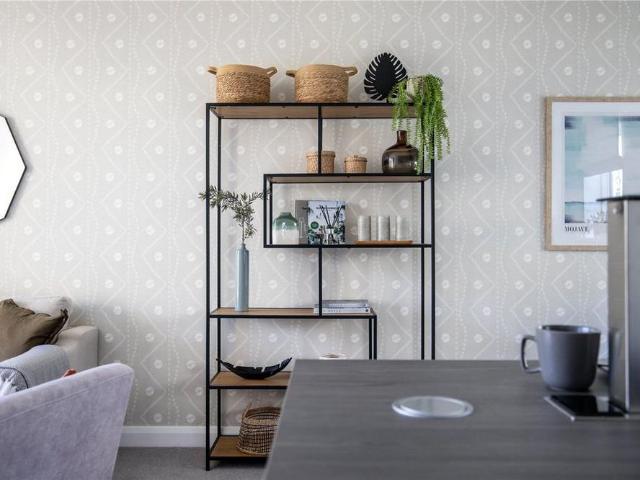 3 bedroom apartment to rent