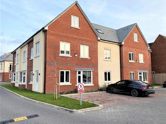 3 bedroom apartment to rent