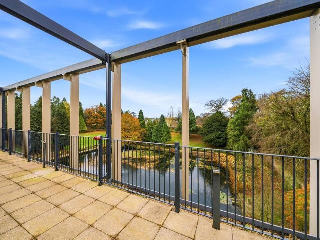 3 bedroom apartment to rent