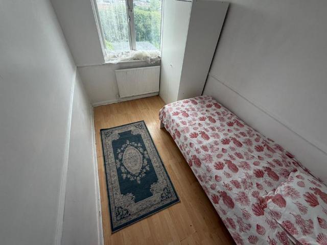 3 bedroom apartment to rent