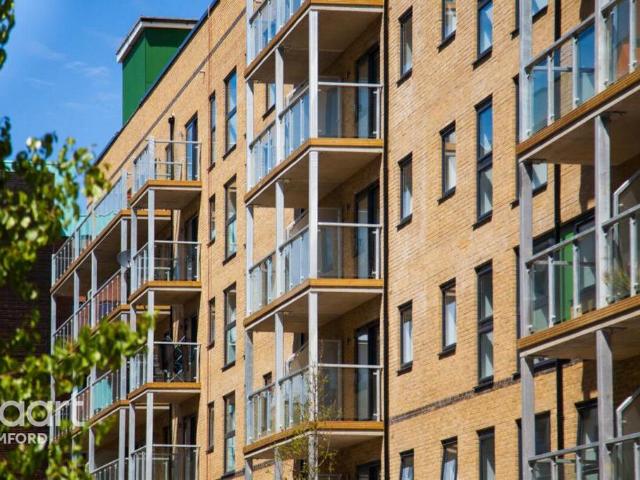 3 bedroom apartment to rent