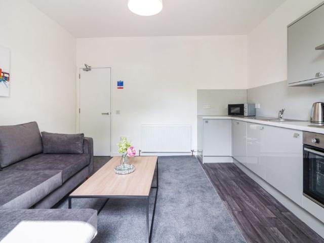3 bedroom apartment to rent