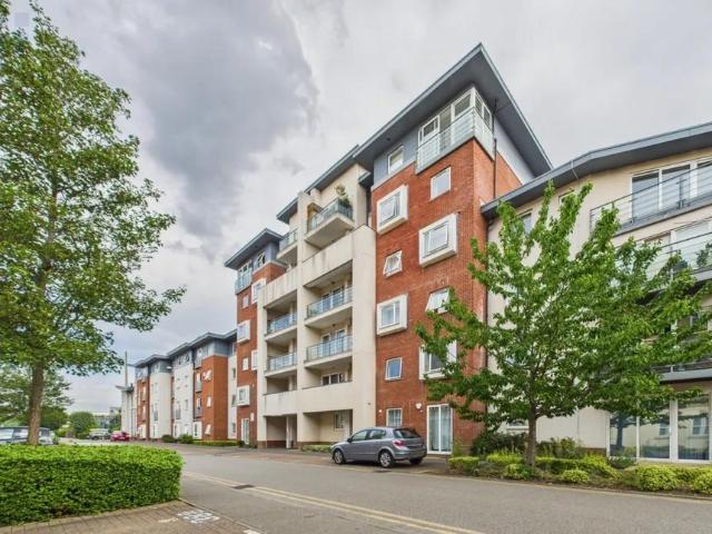 3 bedroom apartment to rent