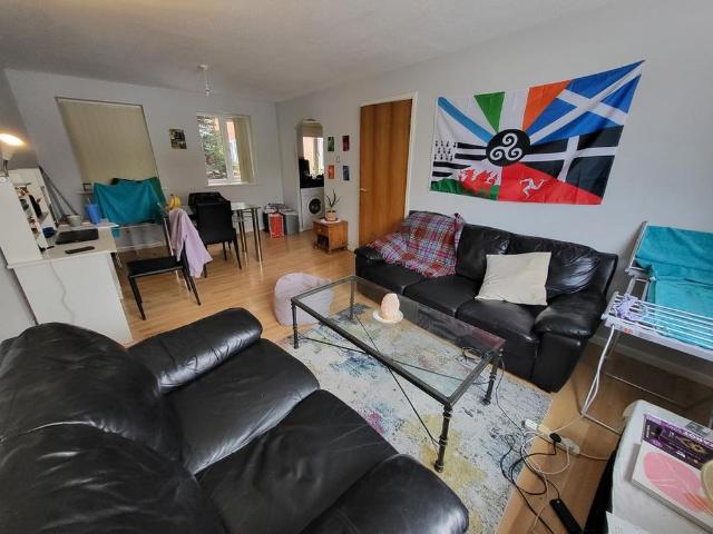 3 bedroom apartment to rent