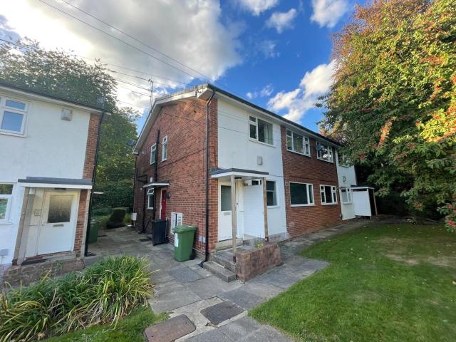 3 bedroom apartment to rent