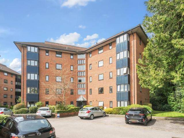 3 bedroom apartment to rent