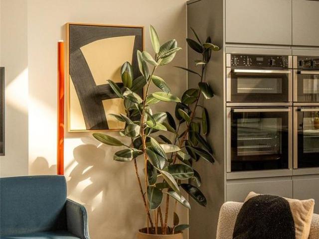 3 bedroom apartment to rent