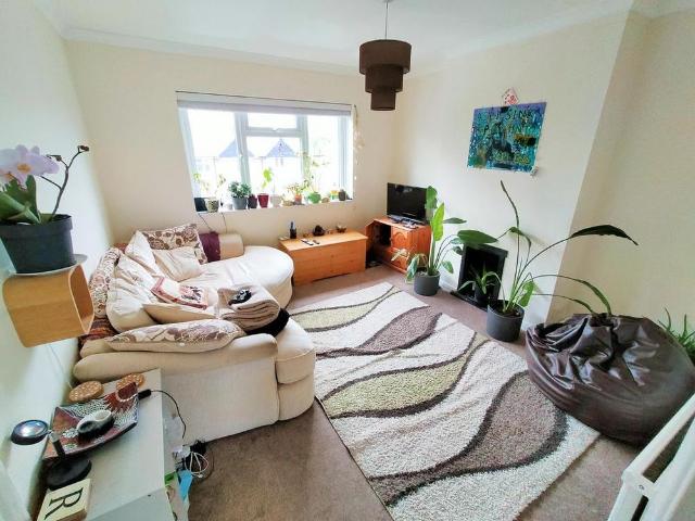 3 bedroom apartment to rent