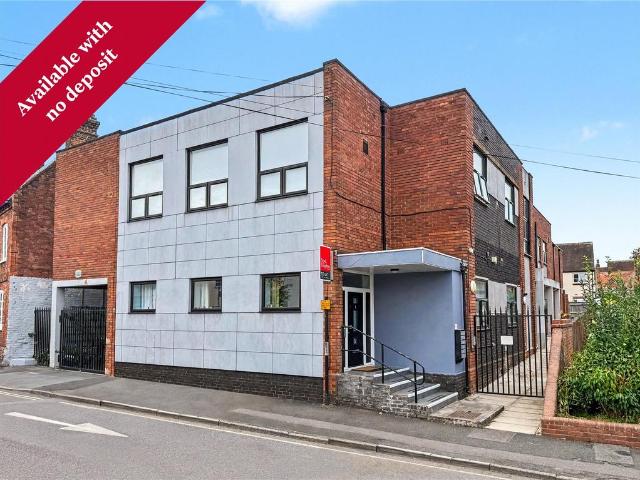 3 bedroom apartment to rent