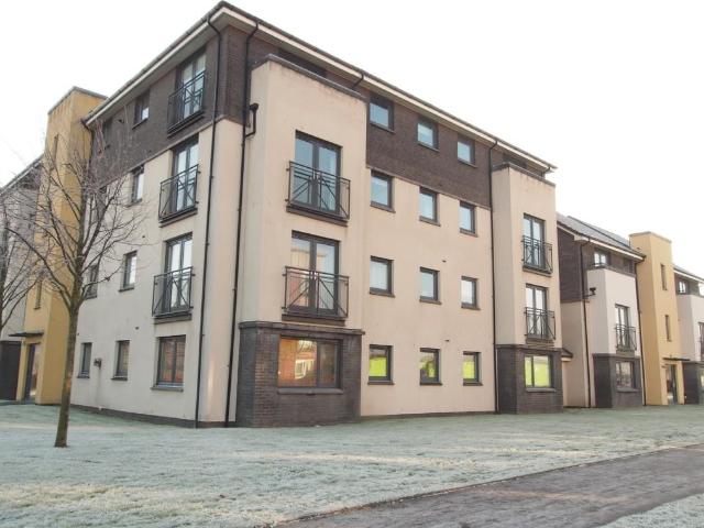 3 bedroom apartment to rent