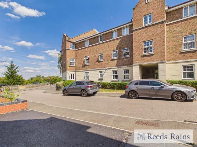 3 bedroom apartment to rent