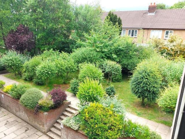 3 bedroom apartment to rent