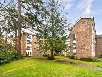3 bedroom apartment to rent