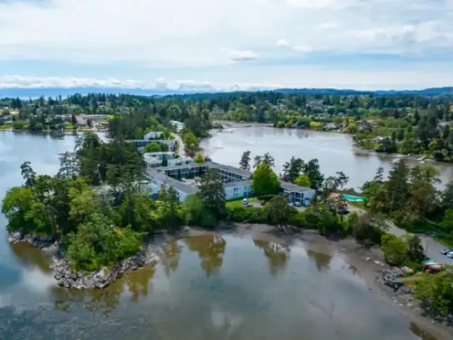 3 Bedroom Apartment Victoria BC 105248057