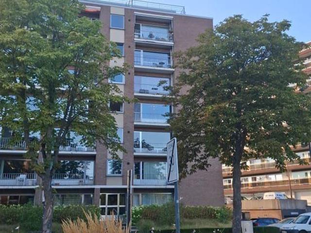 3 bedroom apartment with terrace Immediately available