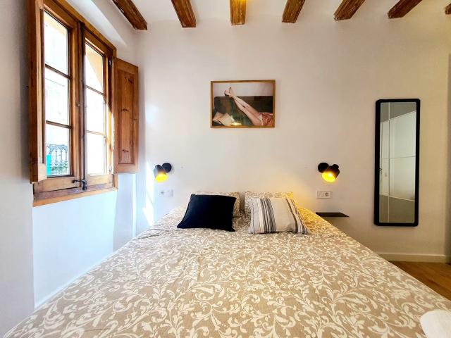 3 Bedroom Apartment with Terrace in El Gòtic, Barcelona Amsterdam Apartments for Rent