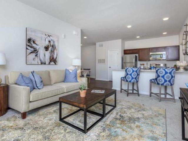 3 bedroom, Asheville NC 28704 104981419