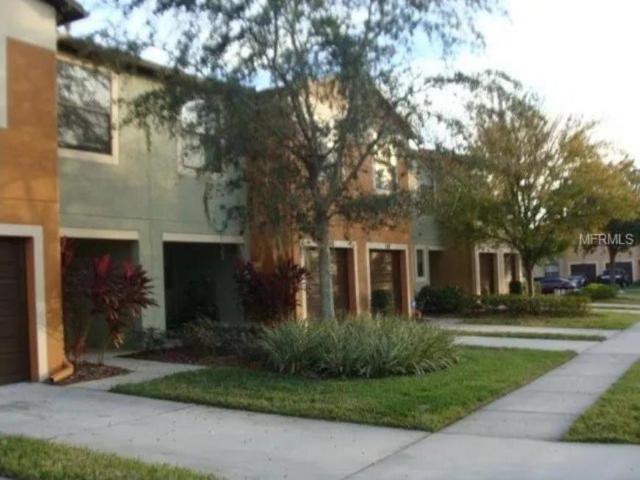 3 bedroom, Brandon FL 33511 105844251