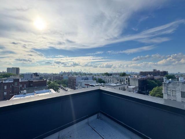 3 bedroom, BROOKLYN NY 11213 92378225
