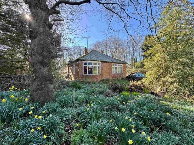 3 Bedroom Bungalow