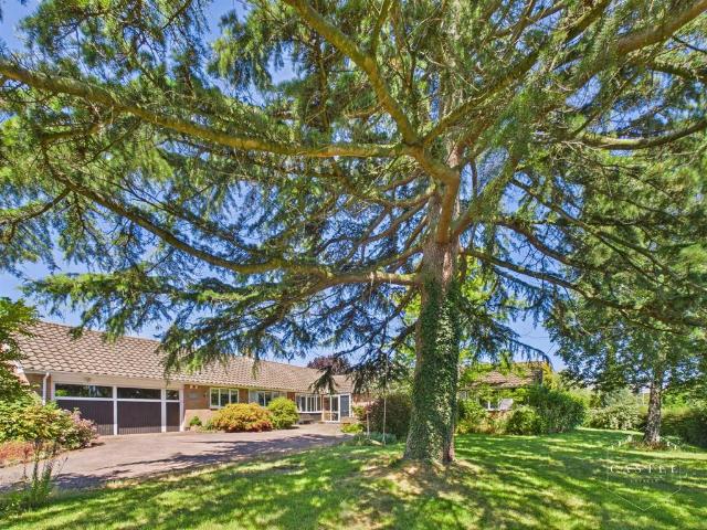 3 bedroom detached bungalow for sale