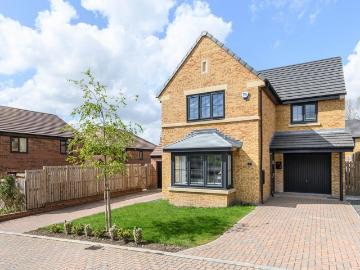 North East, North England - Garden, Equipped kitchen