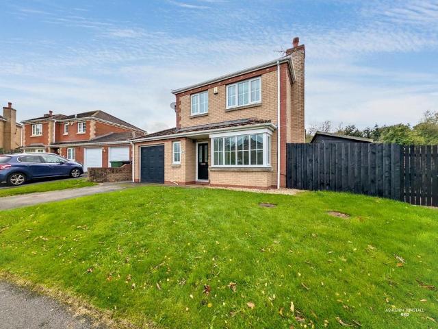 3 bedroom detached house for sale