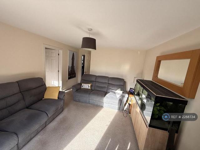 3 bedroom detached house to rent