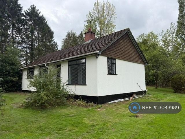 3 bedroom detached house to rent