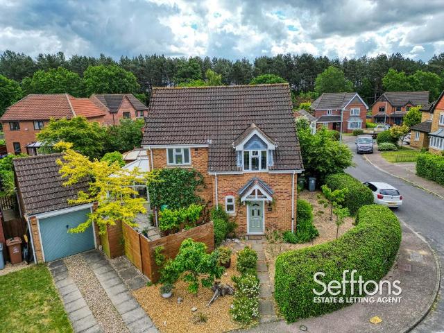 3 bedroom detached house to rent
