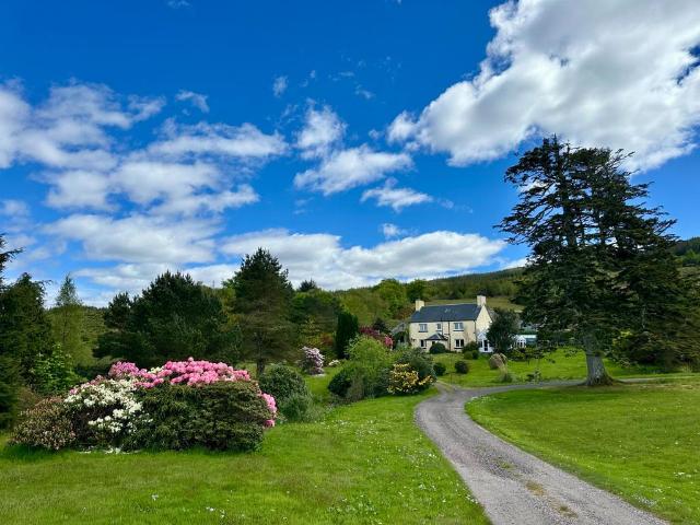 3 bedroom detached house to rent