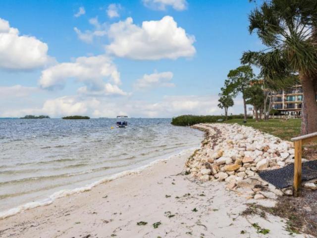 3 bedroom, Dunedin FL 34698 LS105669584