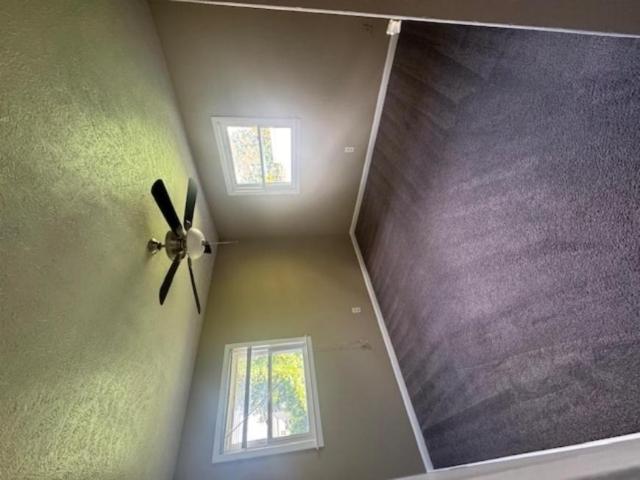 3 bedroom, Fayetteville NC 28303 106214003
