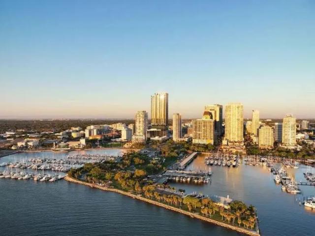 3 bedroom, FL FL 33701 102795057