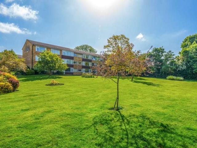 3 Bedroom Flat
