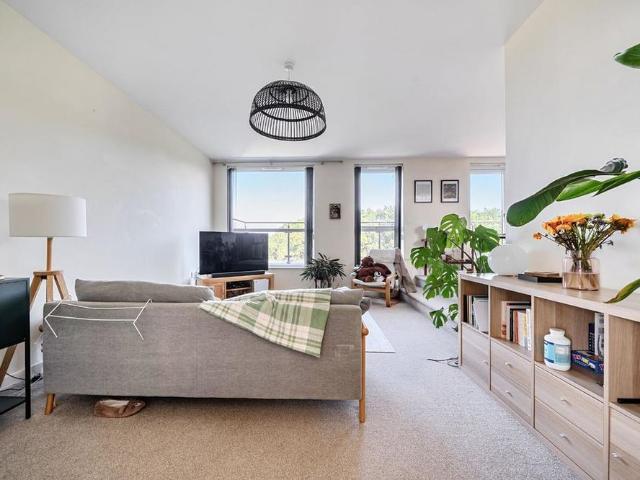 3 bedroom flat to rent