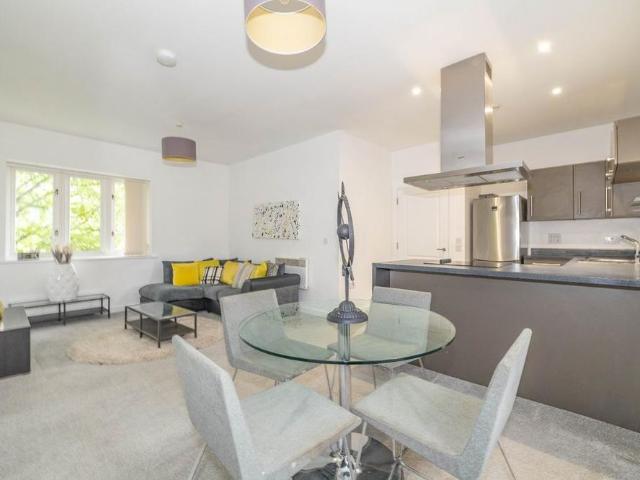 3 bedroom flat to rent