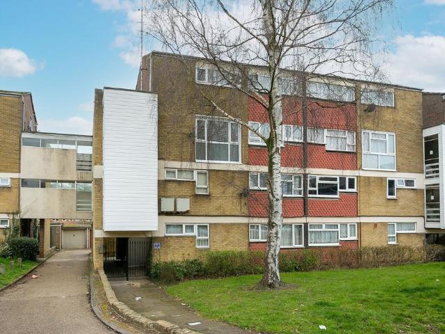 3 bedroom flat to rent
