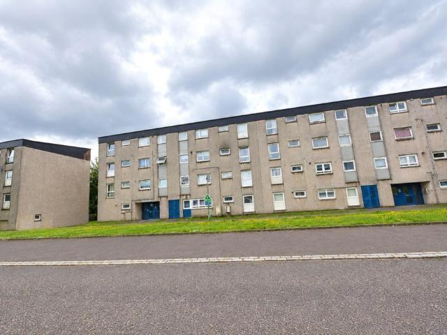 3 bedroom flat to rent