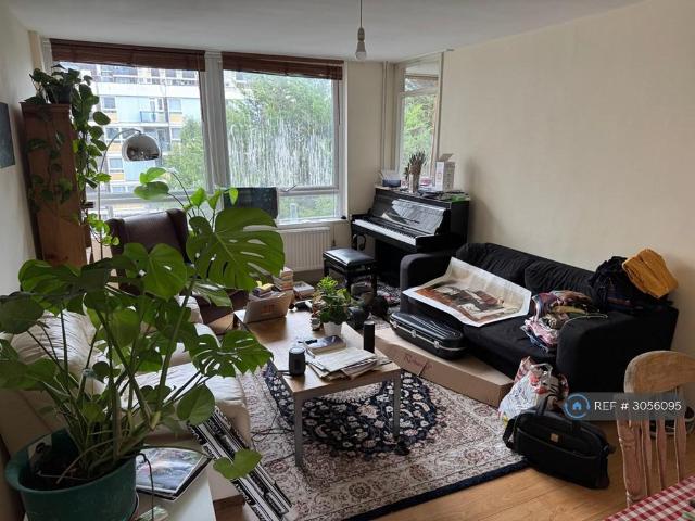 3 bedroom flat to rent