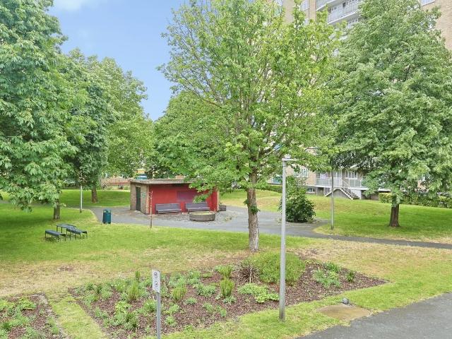 3 bedroom flat to rent