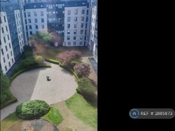 Glasgow, Glasgow and Clyde Valley - Garden