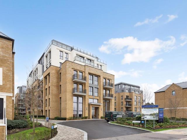 3 bedroom flat to rent