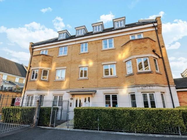 3 bedroom flat to rent