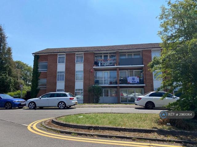 3 bedroom flat to rent