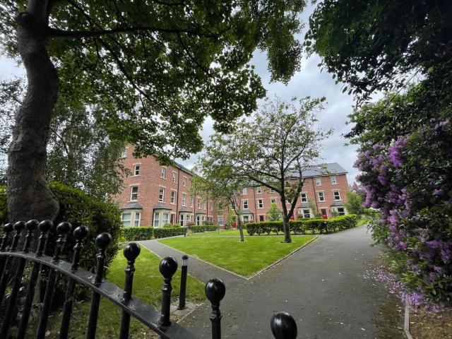 3 bedroom flat to rent