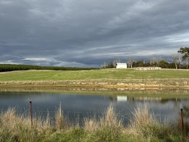 3 Bedroom House BRIDPORT TAS 104949628