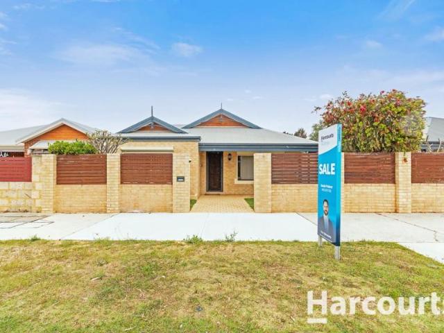 3 Bedroom House Butler WA 106075177