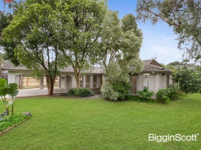 3 Bedroom House Donvale VIC 105865109